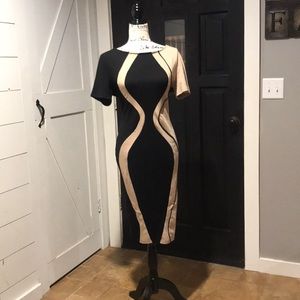 NWT Bodycon Dress